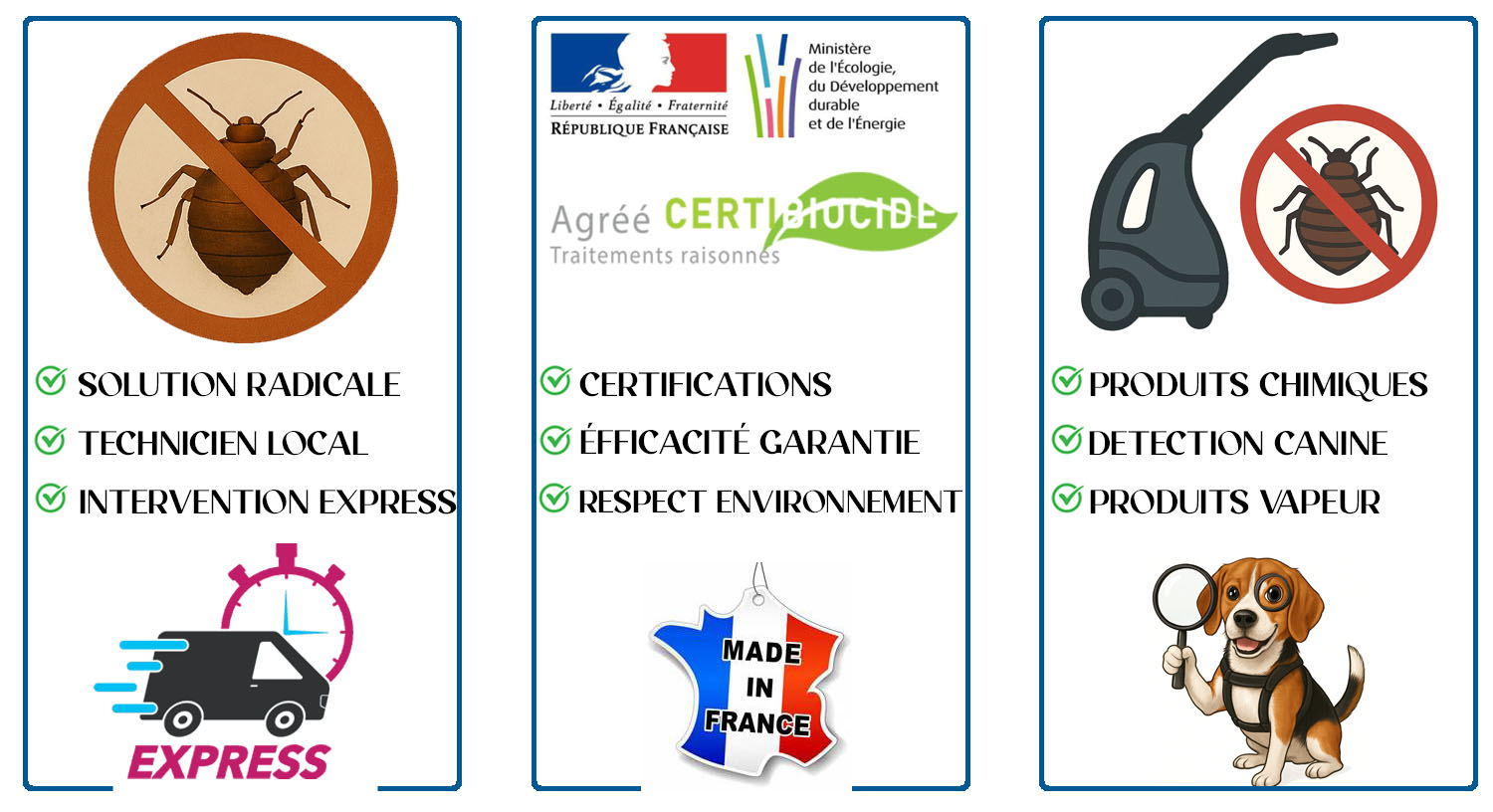 Punaises de Lit Deuil la Barre